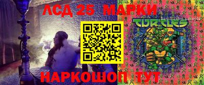 индика Азнакаево