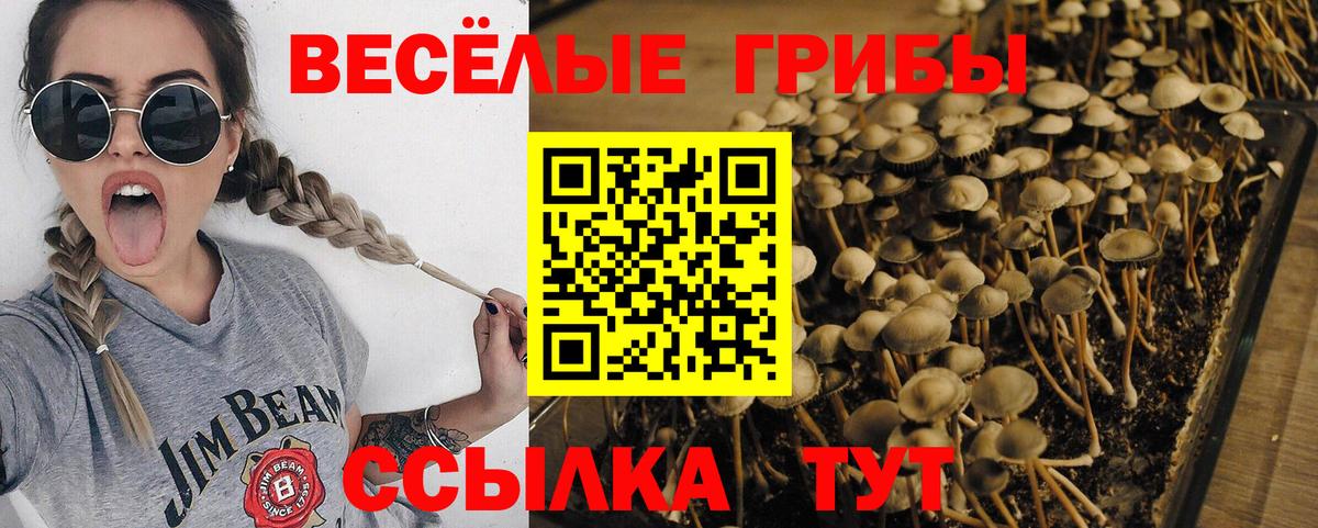 Галлюциногенные грибы Cubensis Волжск