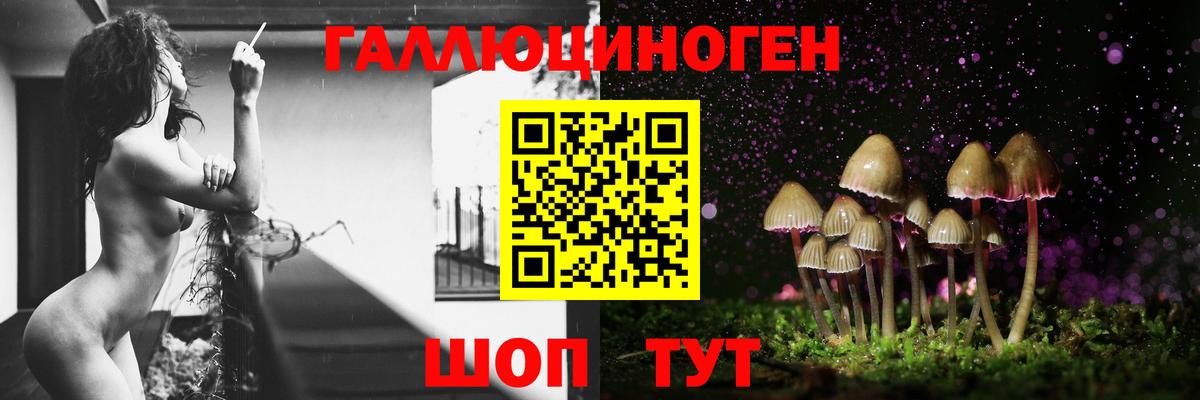 Псилоцибиновые грибы ЛСД  Вход с VPN  Волжск 